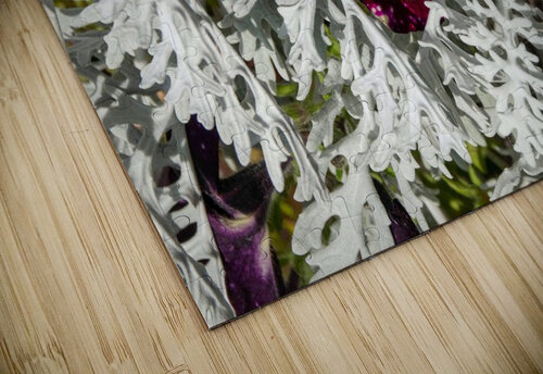 Starry Sky Burgundy Petunia Flower Adel B Korkor puzzle