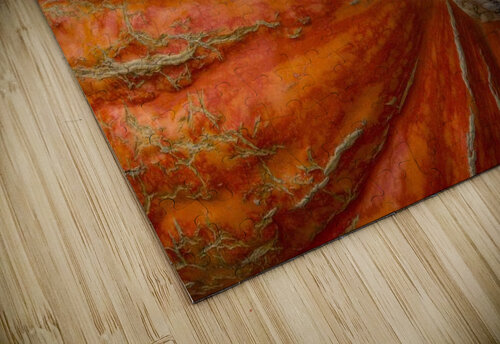 Giant Pumpkin Adel B Korkor puzzle