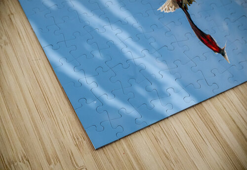 Fishing Bald Eagle Adel B Korkor puzzle