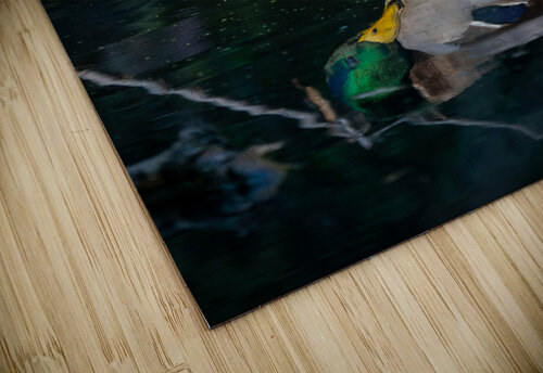 Male Mallard Duck Reflection Adel B Korkor puzzle