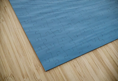 American Alligator Adel B Korkor puzzle