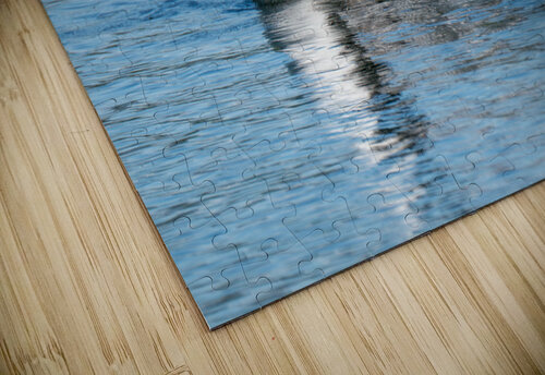 Common Loon Adel B Korkor puzzle