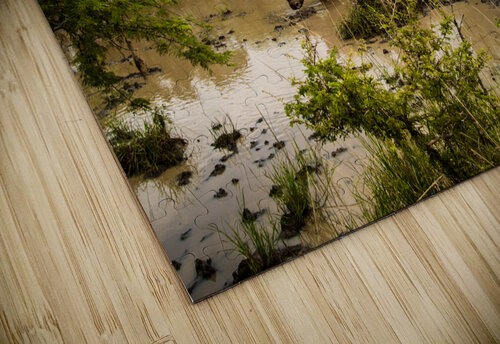 Rhinos at the Hluhluwe–Imfolozi Park Adel B Korkor puzzle