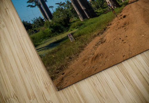 Avenue of the Baobabs Adel B Korkor puzzle