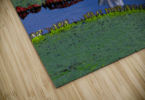 Amazon Water Lilly Adel B Korkor puzzle