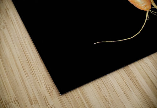 Carrot Love Adel B Korkor puzzle