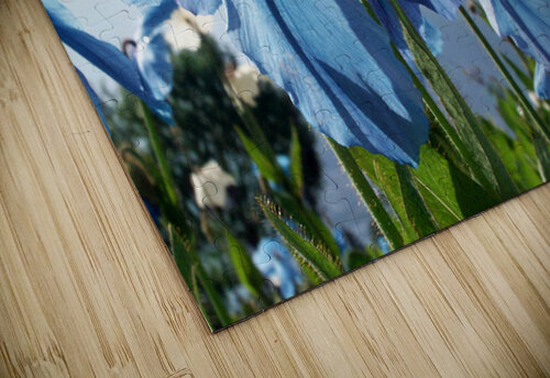 Himalayan Blue Poppy Flowers Adel B Korkor puzzle