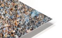 Seashells on the Seashore Impression metal HD