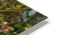 Gum Tree HD Metal print