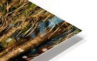 Reflections In The Amazon HD Metal print