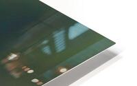 Keel-Billed Toucan HD Metal print