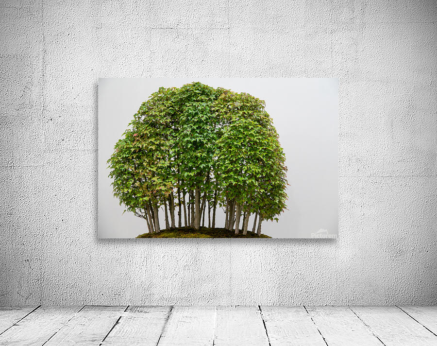 Yose-Ue Forest Garden by Adel B Korkor