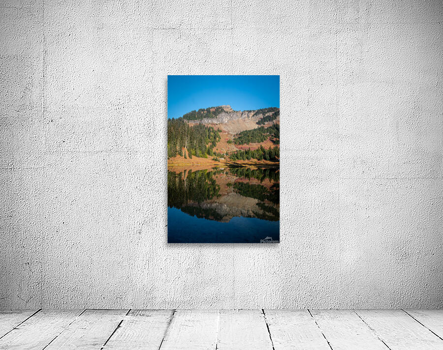 Mount Rainier Mirror Landscape Wall Preview