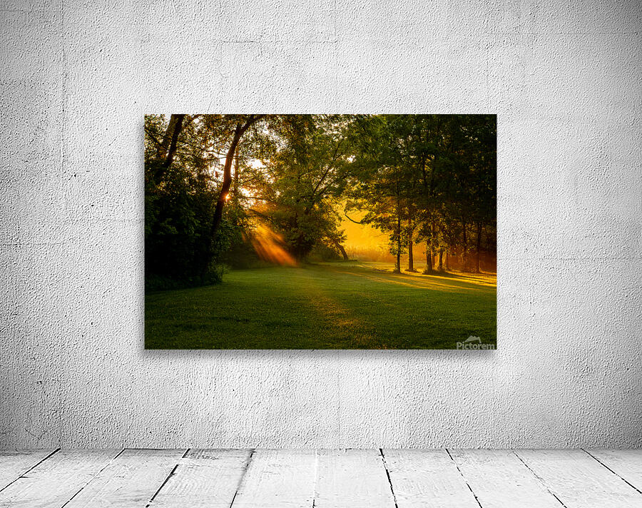 Sunbeam Landscape Wall Preview