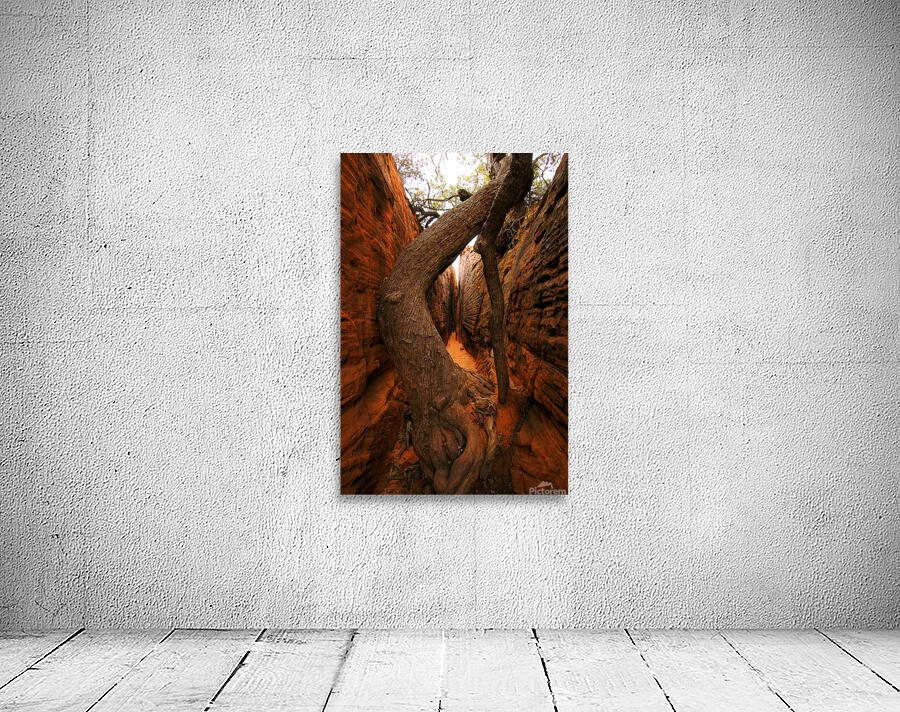 Red Rock Canyon Tree Wall Preview