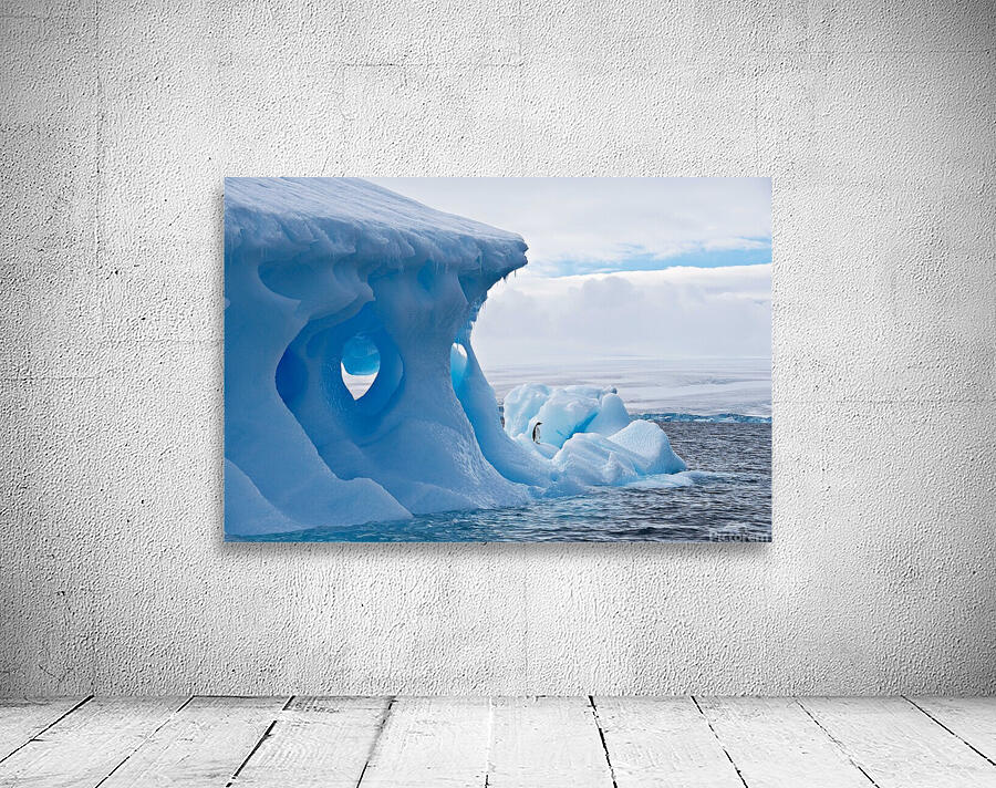 Lone Penguin Wall Preview