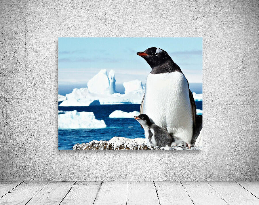 Gentoo Mother and Baby Penguins Wall Preview