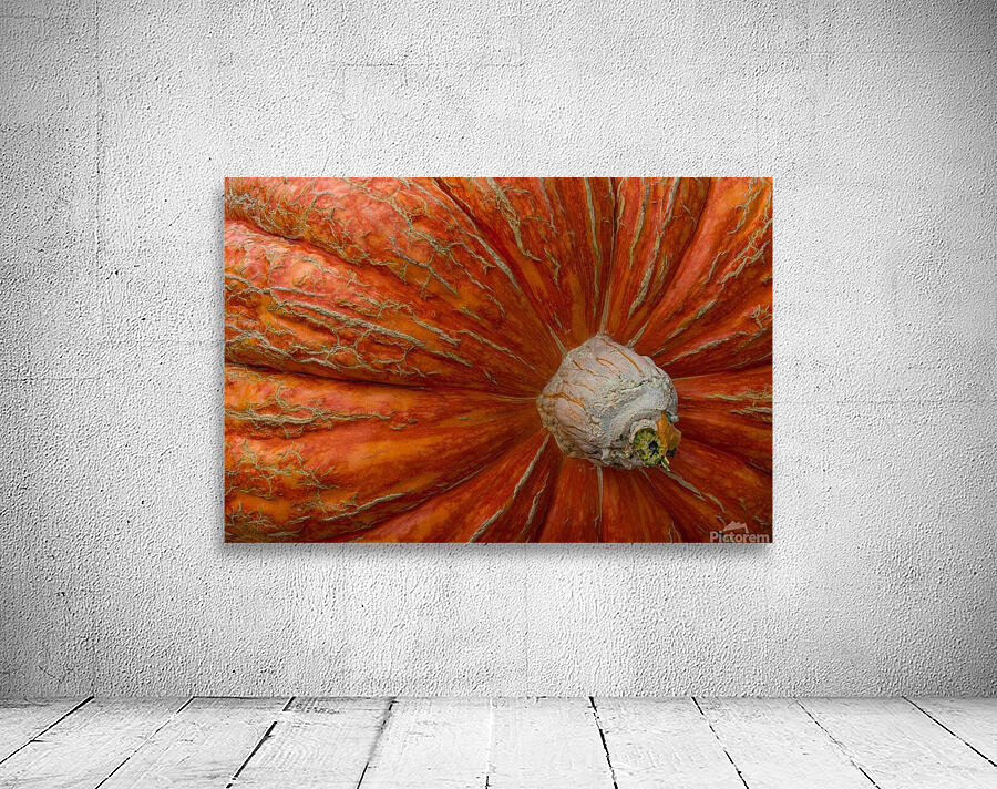 Giant Pumpkin Wall Preview