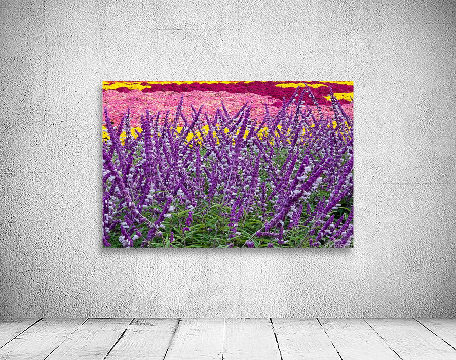 Skullcap Flowers Wall Preview