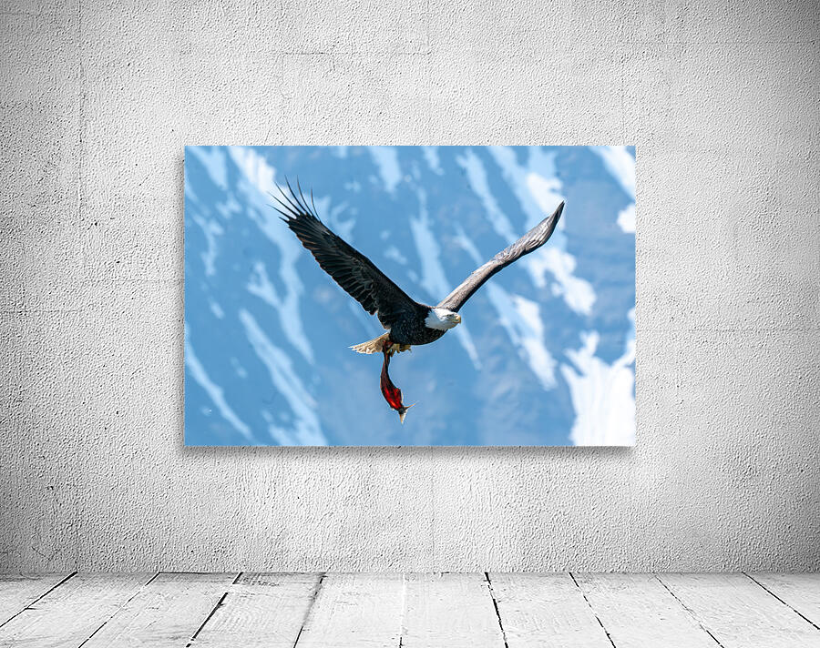 Fishing Bald Eagle Wall Preview