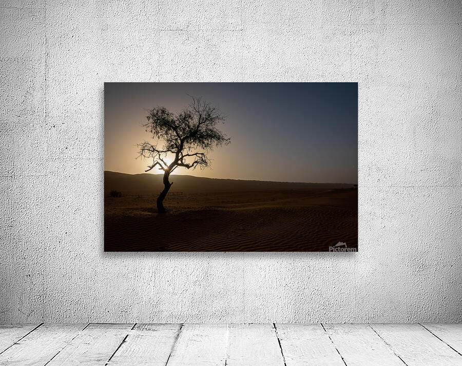 A Lone Tree in the Desert by Adel B Korkor