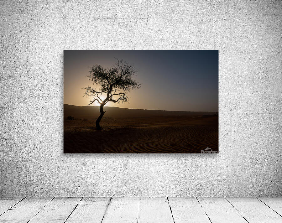 A Lone Tree in the Desert Wall Preview