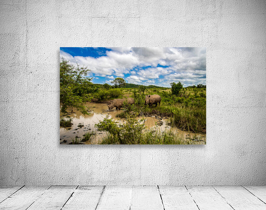 Rhinos at the Hluhluwe–Imfolozi Park Wall Preview