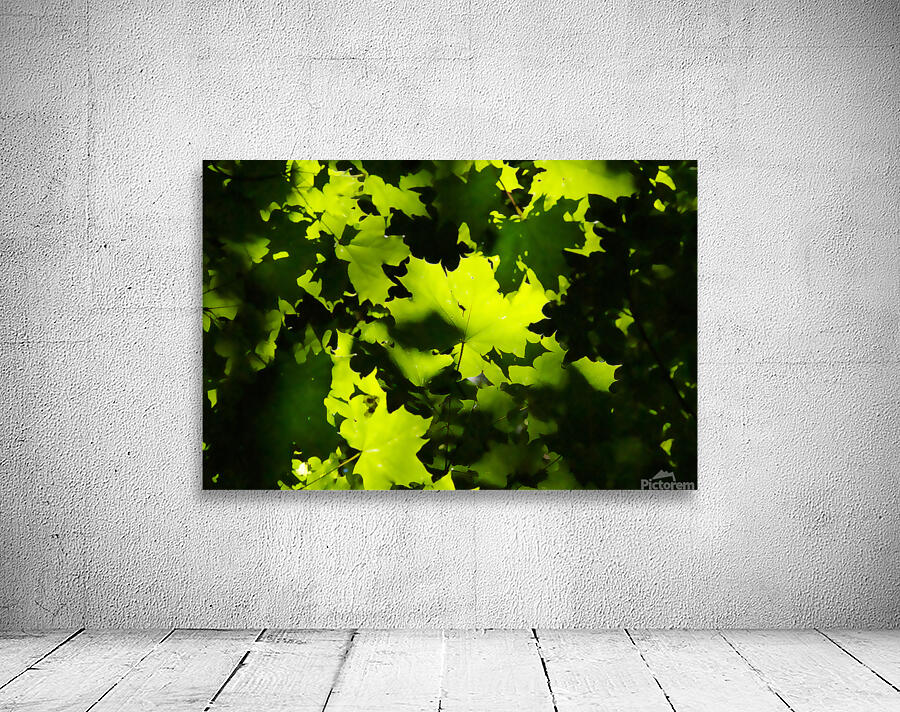 Maple Leaves Wall Preview