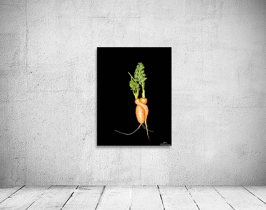 Carrot Love Wall Preview