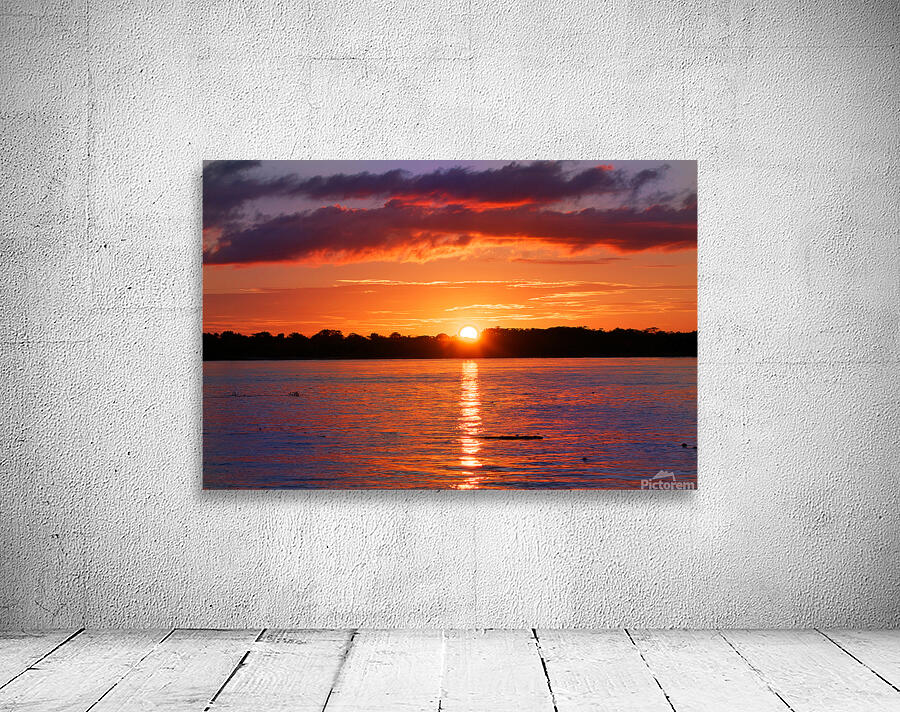 Amazon Sunset Wall Preview