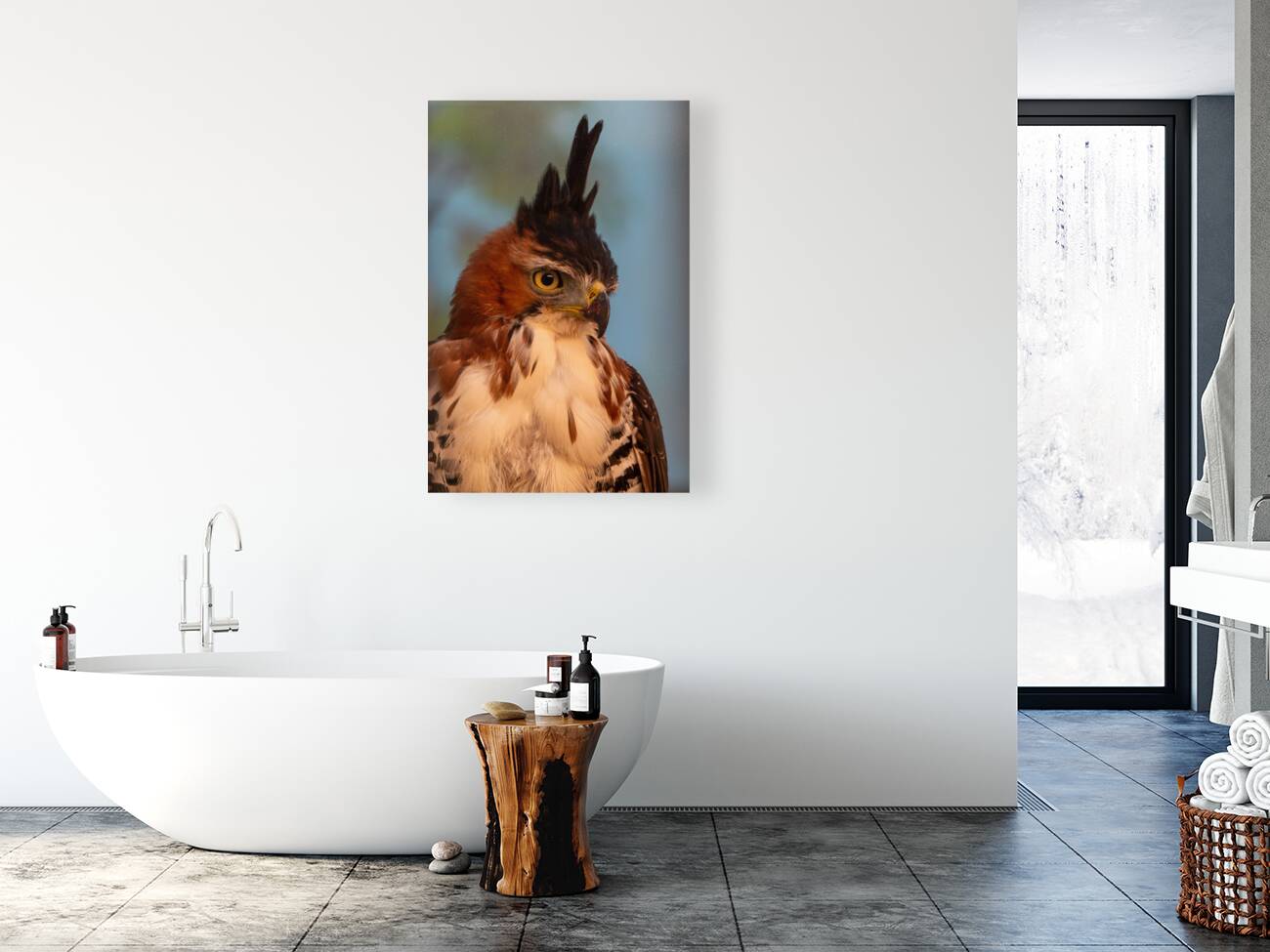 Ornate hawk-eagle Reproduction