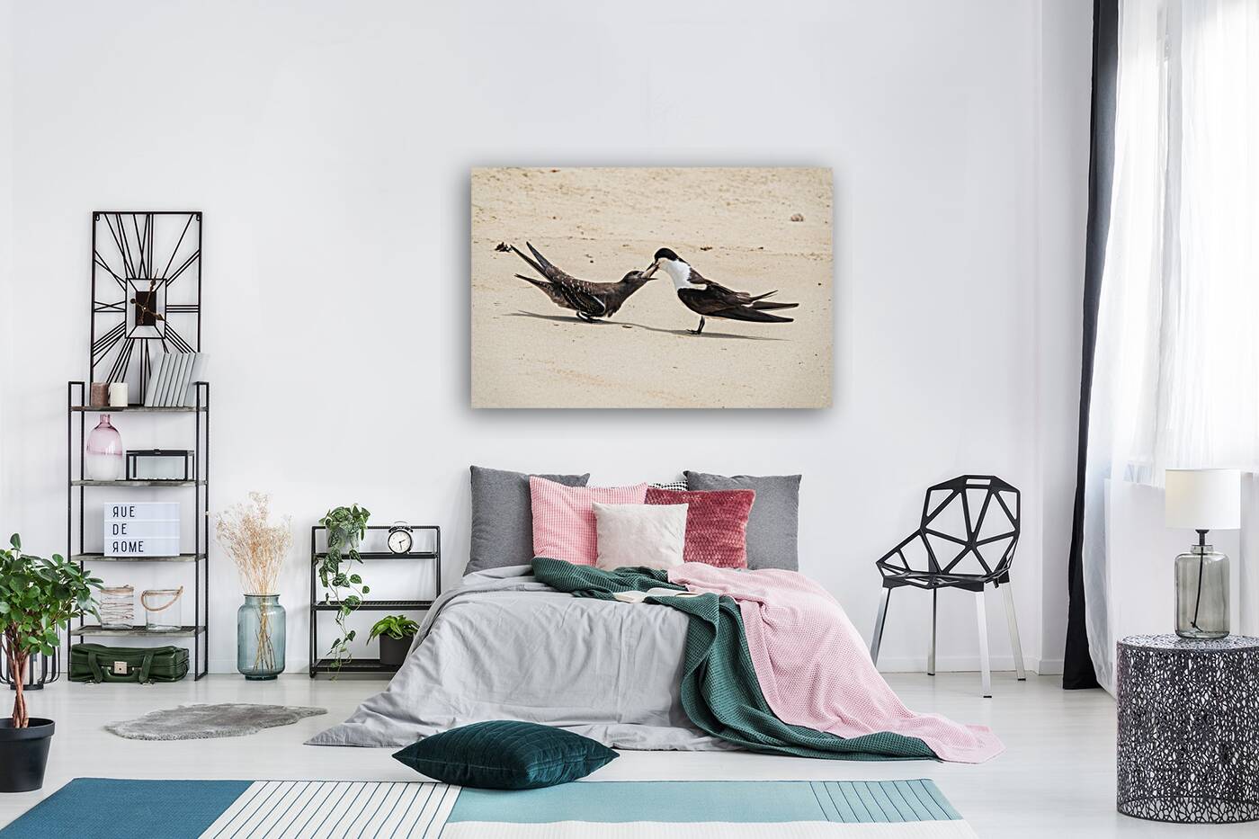 Sooty Tern Couple Reproduction