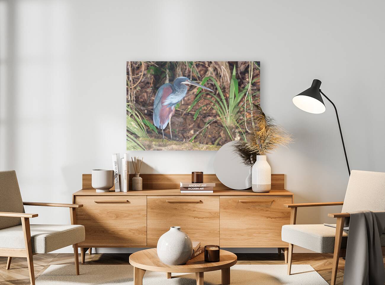 Agami Heron Reproduction