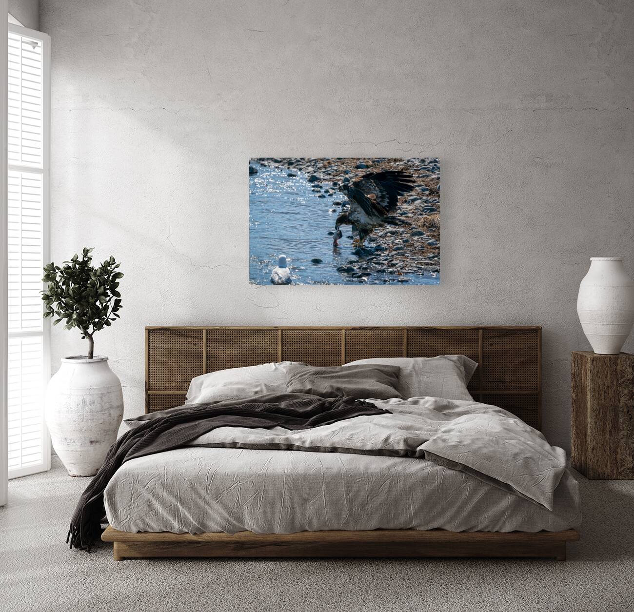 Juvenile Bald Eagle Reproduction