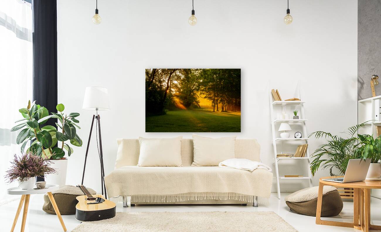 Sunbeam Landscape Reproduction