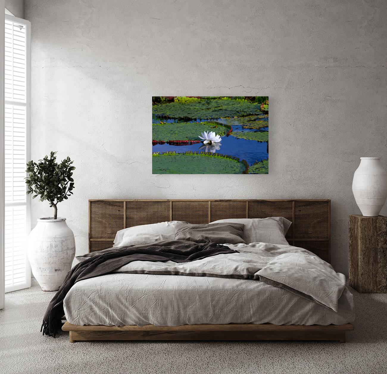 Water Lily on the Amazon River Reproduction