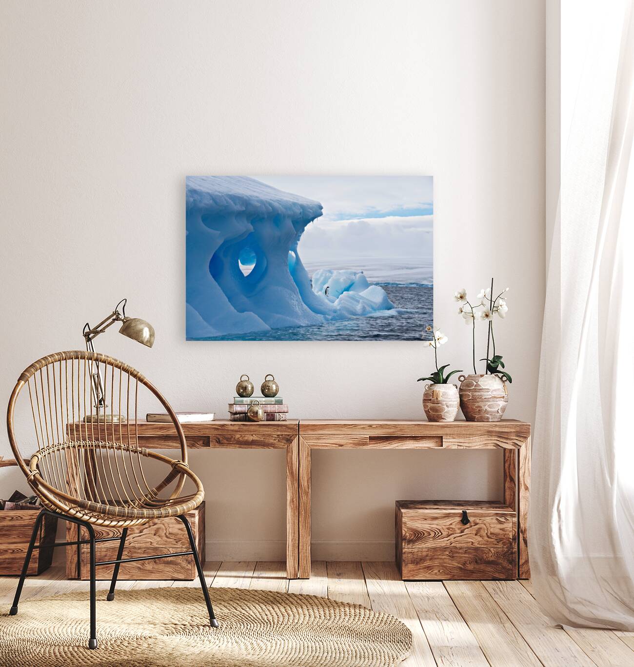 Lone Penguin Reproduction