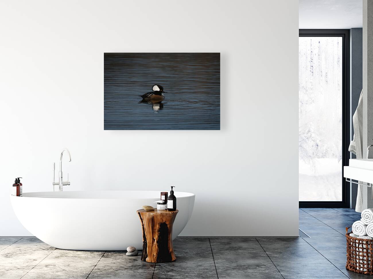 Hooded Merganser Reproduction