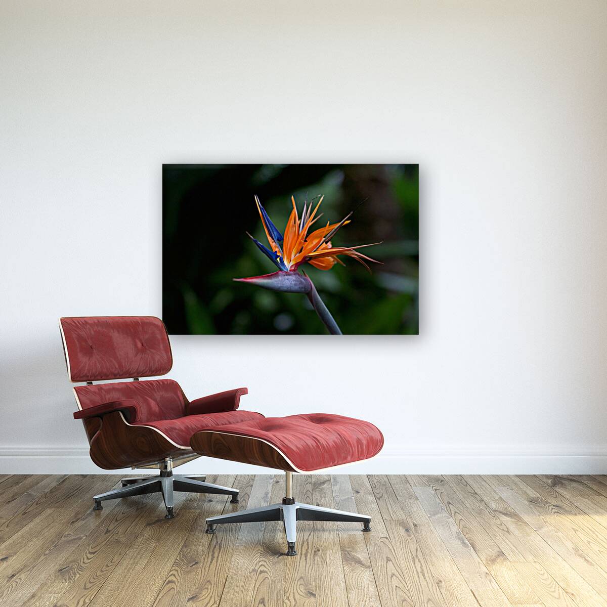 Bird of Paradise Flower Reproduction