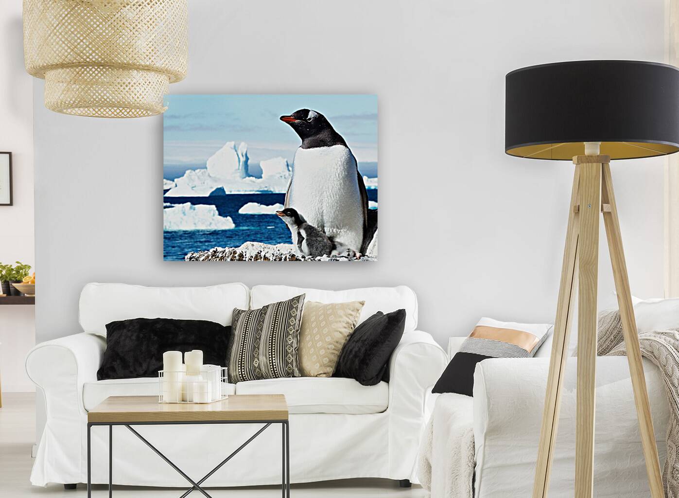 Gentoo Mother and Baby Penguins Reproduction