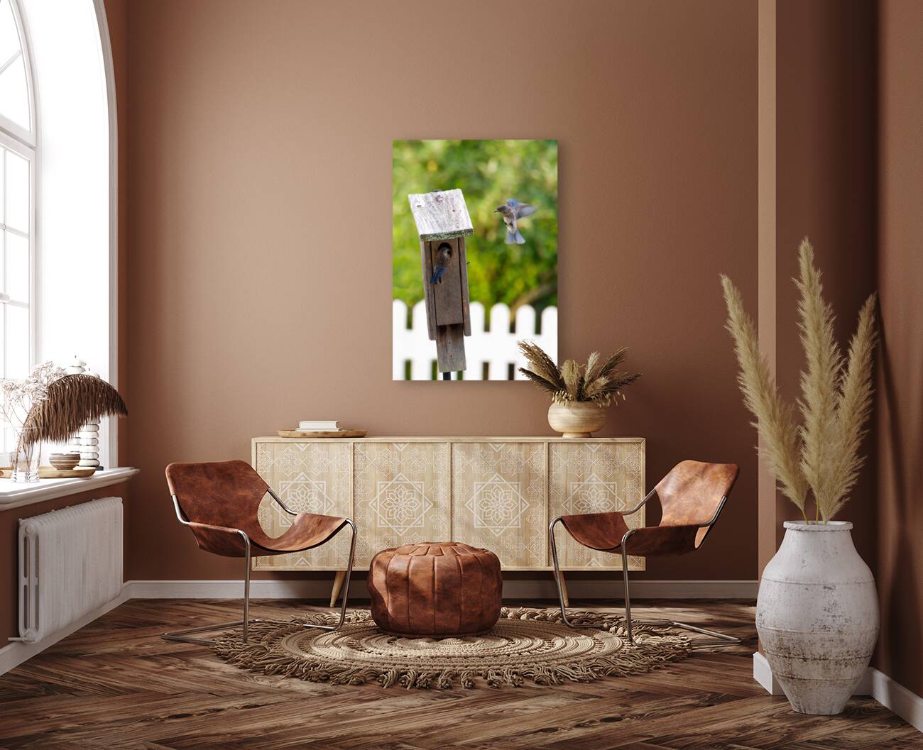 Baby Bluebirds Reproduction