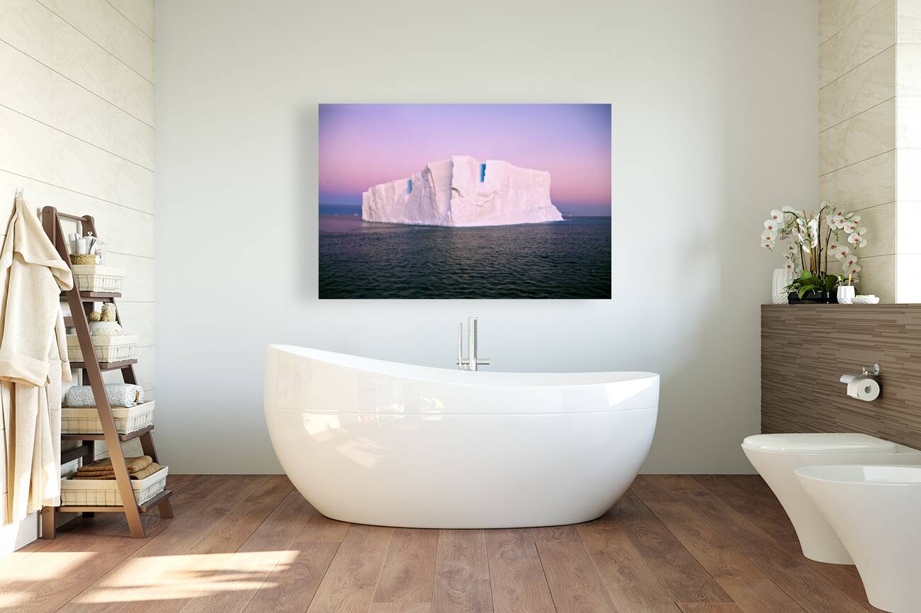 Iceberg in Antarctica Reproduction