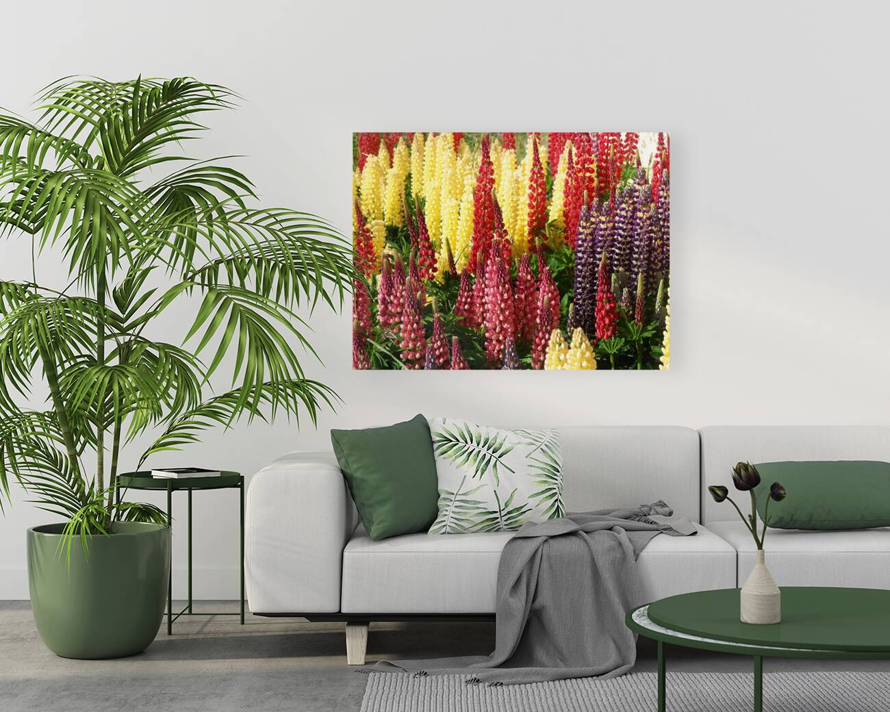 Colorful Lupines Reproduction