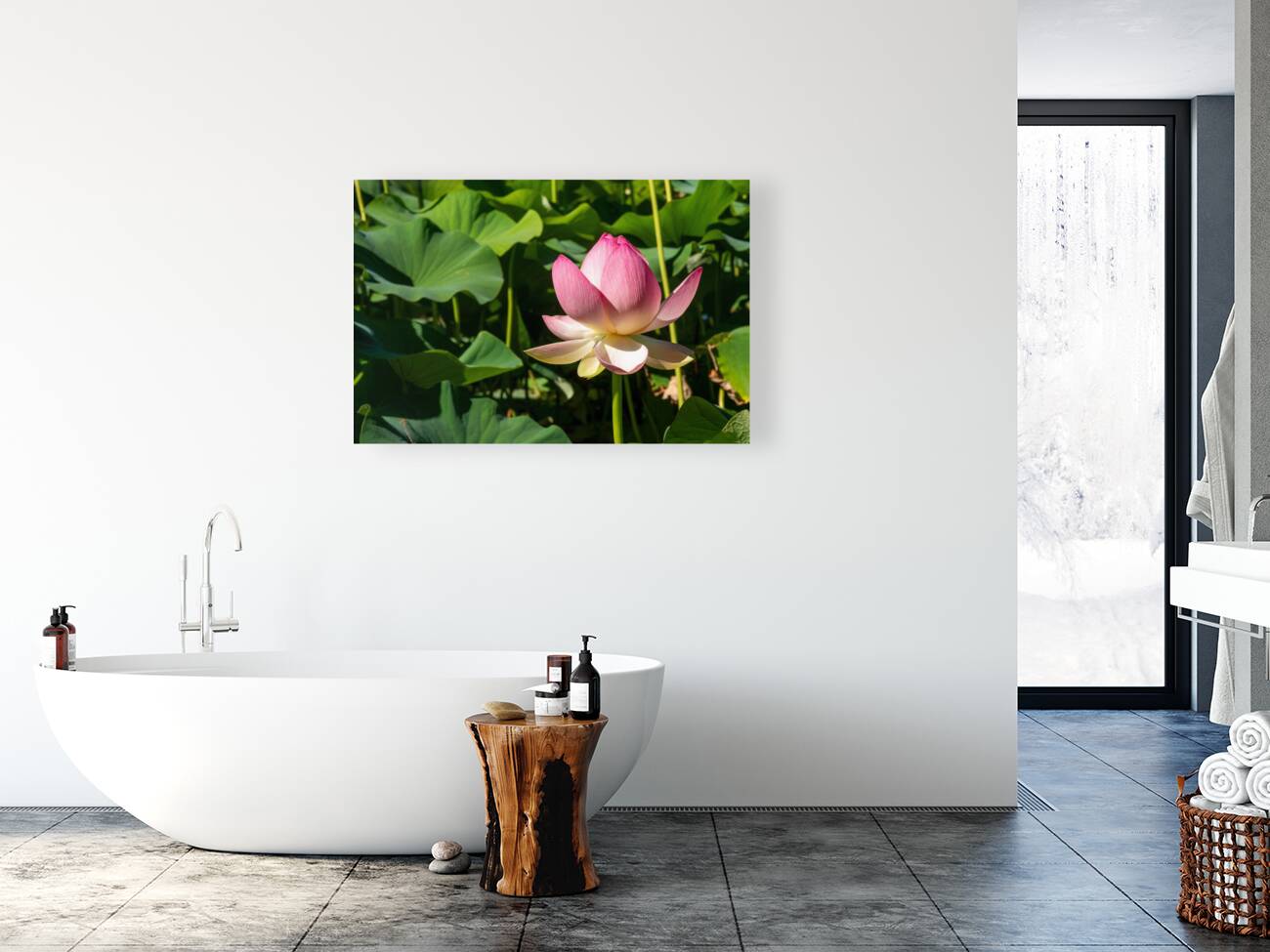 Lotus Flower Reproduction