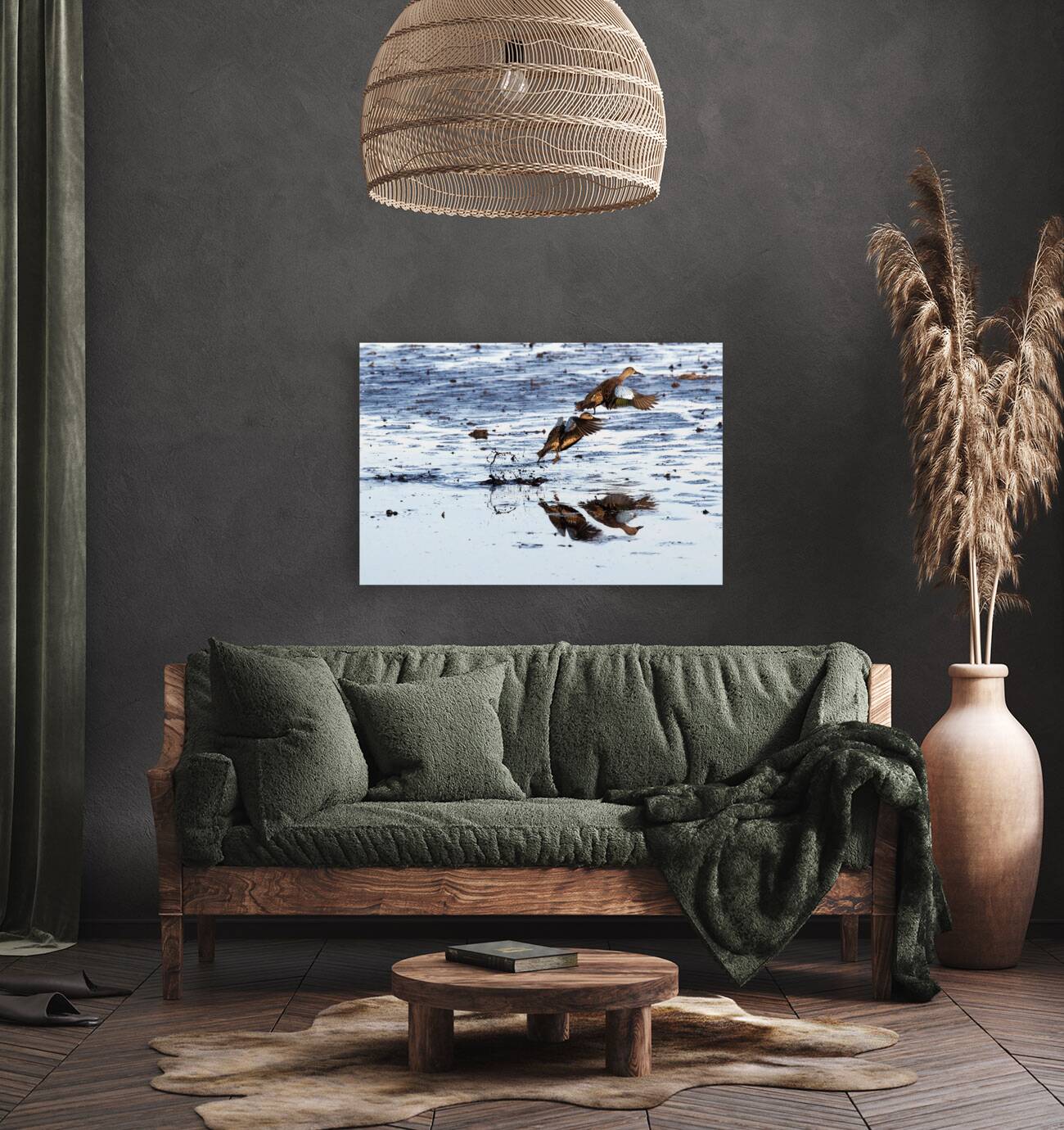 Blue-Winged Teal Reproduction