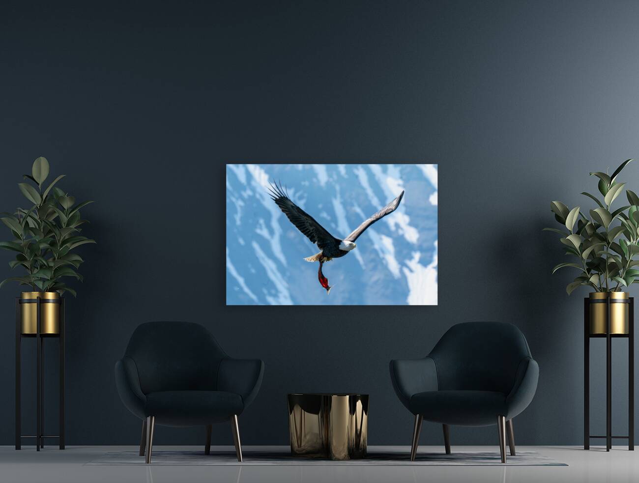 Fishing Bald Eagle Reproduction