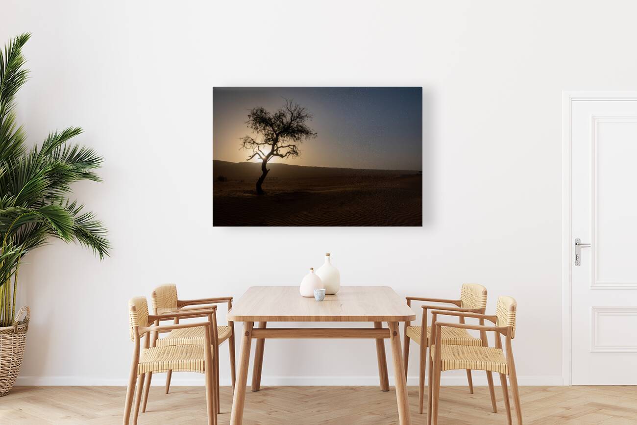 A Lone Tree in the Desert Reproduction