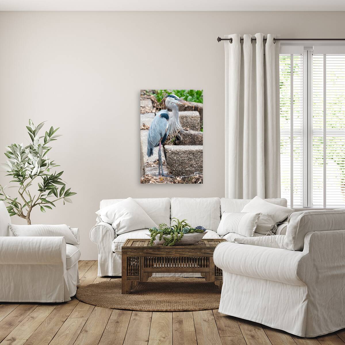 Great Blue Heron Reproduction