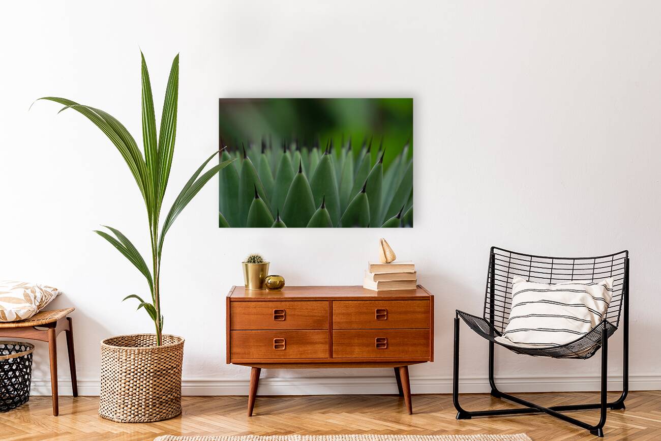 Huachuca Agave Plant Reproduction