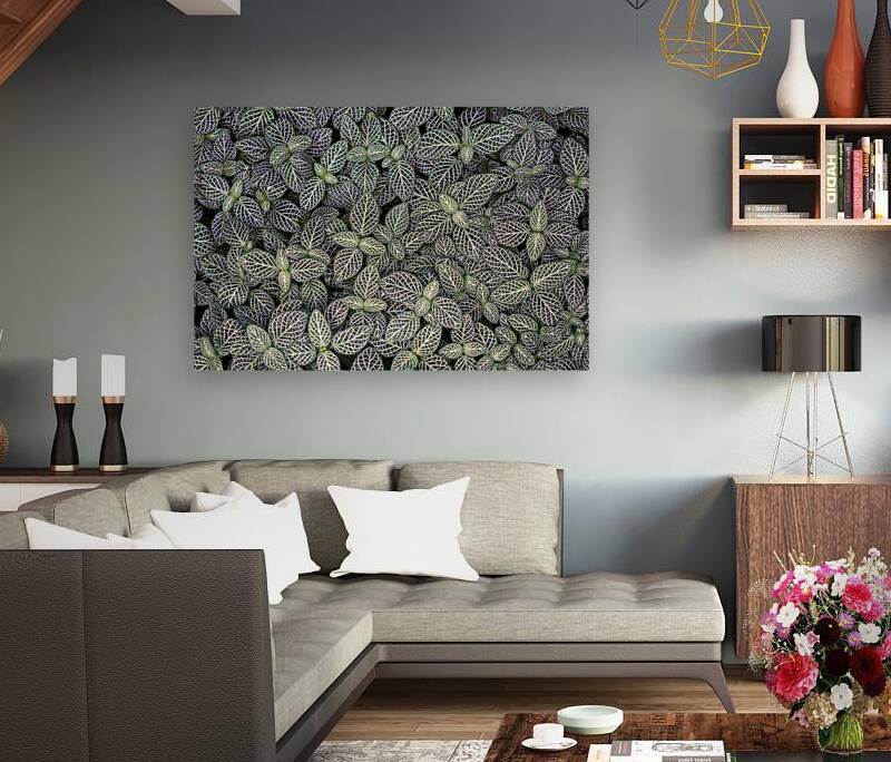 Nerve Plant Reproduction